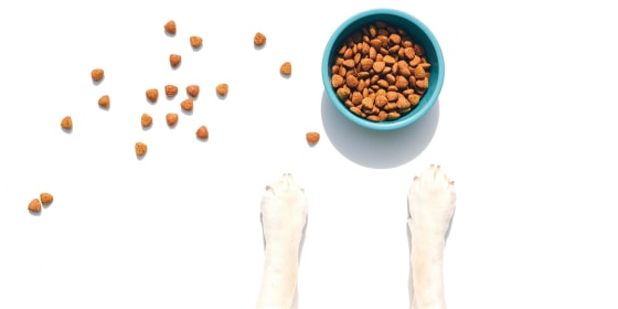 All puppy food should meet nutritional standards set by the Association of American Feed Control Officials (AAFCO).