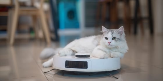 Experts say the best vacuums for pet hair have anti-tangle brush heads and rotating brush rolls and they also come with included attachments.