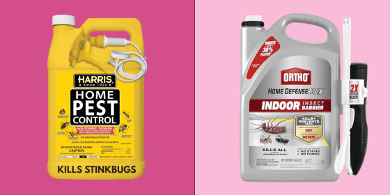 Some common ingredients in home bug sprays could cause dogs and cats to become ill. 
