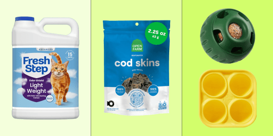 Shop the best pet deals on dog toys, cat litter, harnesses and more on Amazon.
