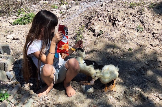 A girl sits on the dirt holding a bag of chips next to two ducks outside