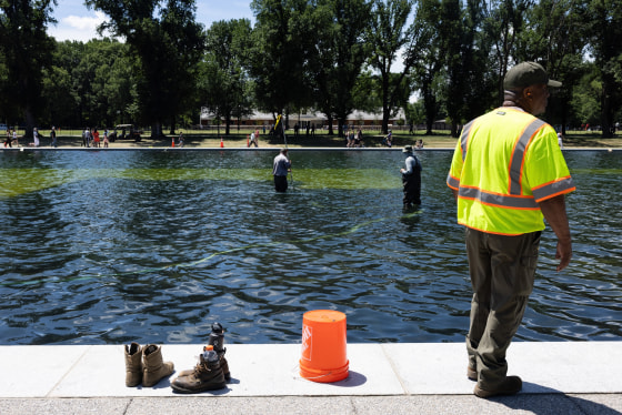 Image: National Park Service workers and contractors use vacuums to remove algae from the bottom of the Lincoln Memorial Reflecting Pool on June 20, 2026, in Washington, D.C.