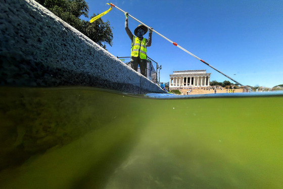 A U.S. National Park Service employee uses a vacuum pump to clean algae off the bottom of the newly repainted Lincoln Memorial Reflecting Pool