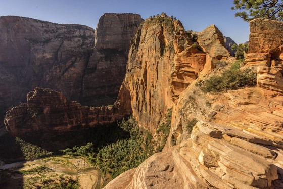 A sweeping desert landscape in Utah's Zion National Park.