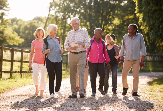 Group Of Senior Friends Hiking In Countryside