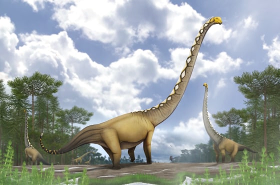 An artist's rendering of what Uragasaurus kalasinensis might have looked like.