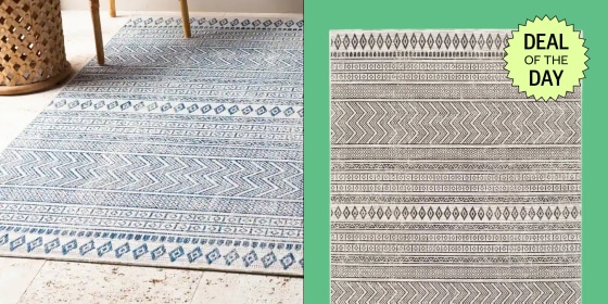 Bed Bath & Beyond is one of the best online stores to find deals on quality outdoor rugs.