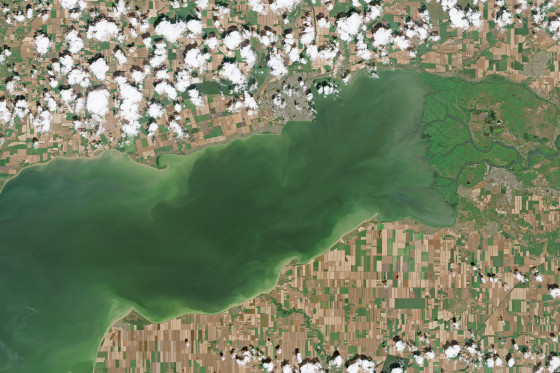 A satellite image of the Sea of Azov, July 13, 2026. 2026.
