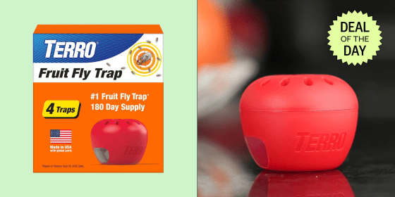 The Terro fruit fly trap uses a liquid bait to draw flies in and then traps them so they can’t escape.