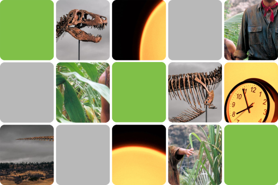 Various photos in a grid format of a dinosaur skeleton, a clock, and a scene from Jurassic Park