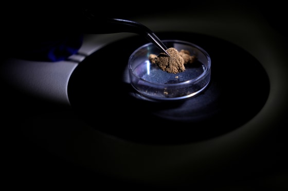 A pair of tweezers gripping a small piece of dirt, illuminated by a spotlight.
