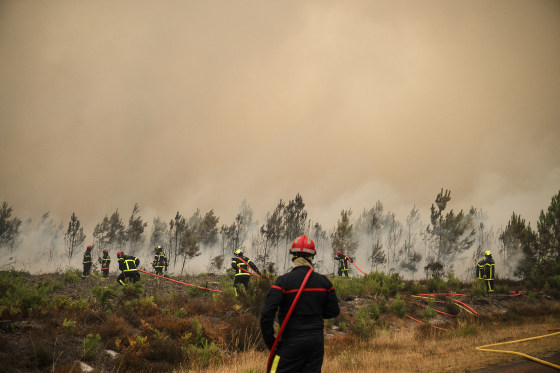 Firefighters standing in tall brush in front of a wall of smoke.