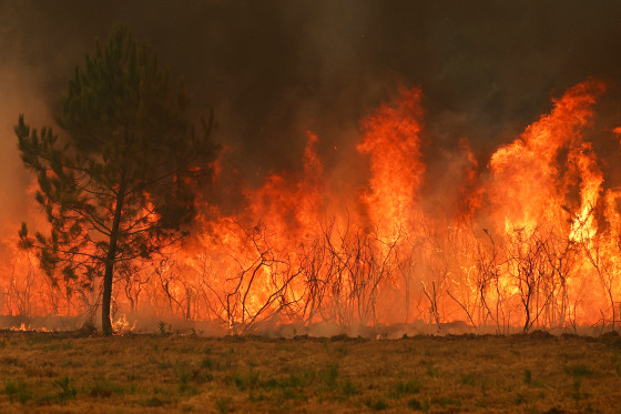 TOPSHOT-FRANCE-ENVIRONMENT-CLIMATE-WEATHER-WILDFIRE