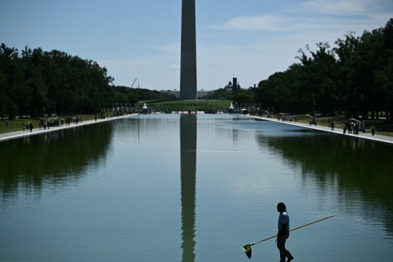 A worker removes algae from the Lincoln Memorial Reflecting Pool  in Washington D.C.