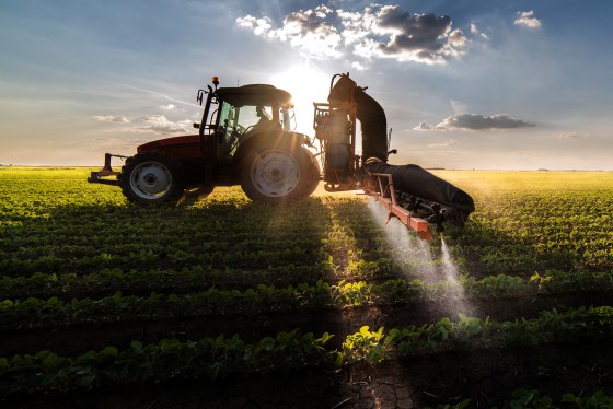 Tractor spraying pesticides on soybean field with sprayer at sunset, the sun shining through the tractor illuminates the spray particles