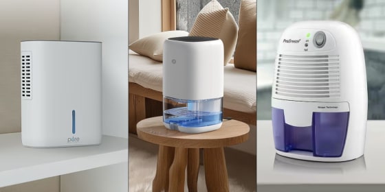 Brands like Midea, Pure Enrichment and Eva-Dry have dehumidifiers with features fitting for small rooms. 