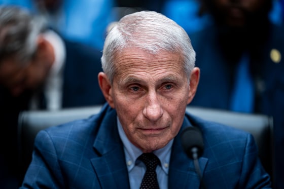 Anthony Fauci, former director of the National Institute of Allergy and Infectious Diseases, during a hearing.