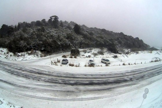 Image: A snowy road with parked cars and trees in the background