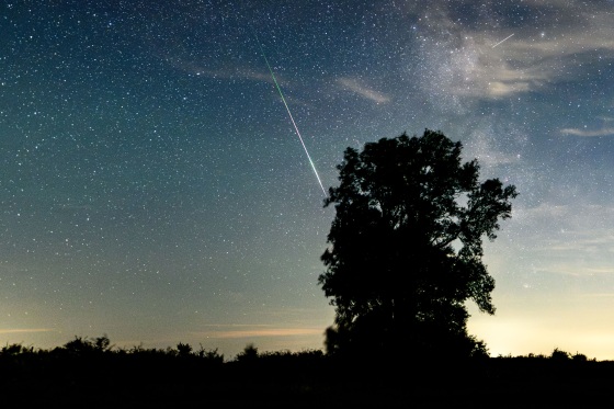 A shooting star from the Perseid meteor shower streaks across the night sky and falls behind the silhouette of a tree against the backdrop of the Milky Way