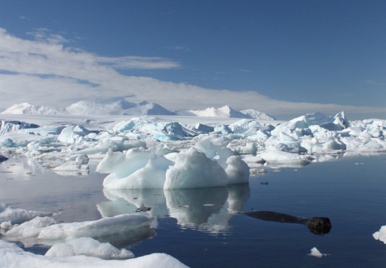 Climate change is turning Antarctica's ice into one of the biggest risks for coming centuries.