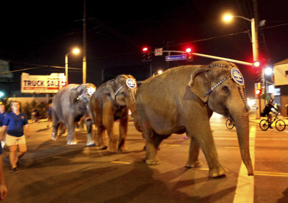 Ringling Bros. and Barnum & Bailey elephants walk early July 10 to the Staples Center in Los Angeles before performances there.