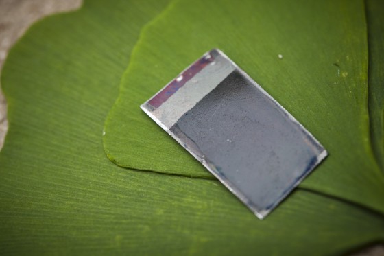 26 Sept. 2011, Cambridge, MA - MIT professor Daniel Nocera has developed an artificial leaf chip that can split water molecules using light...Photo by Dominick Reuter