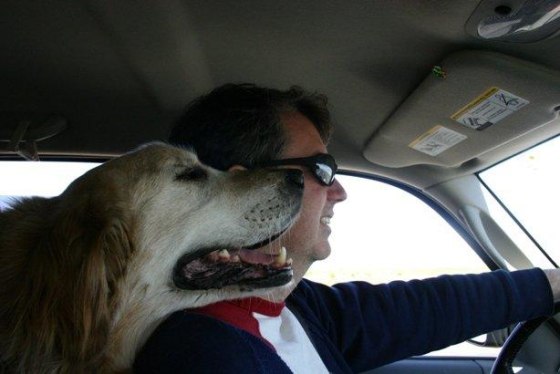 He always insisted on nudging against me while we drove.