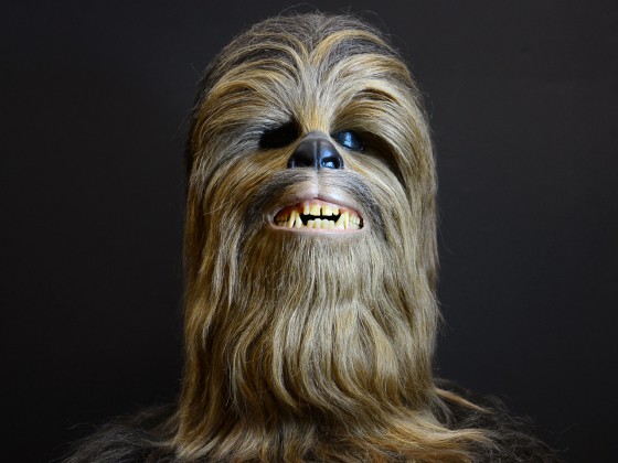 Laugh it up, fuzzball: The Chewbacca head from