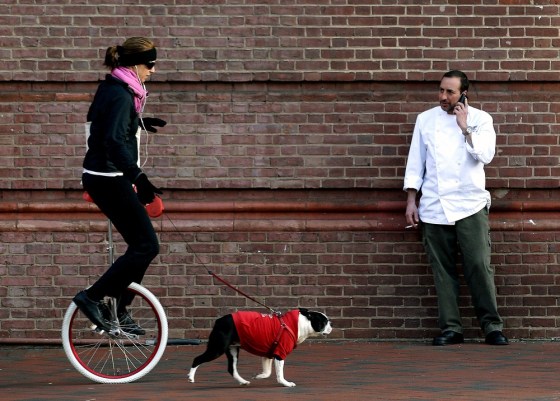 Lisa Polinori, left, walks her Boston Terrier, "Enzodog," while riding a unicycle in Baltimore on Tuesday.