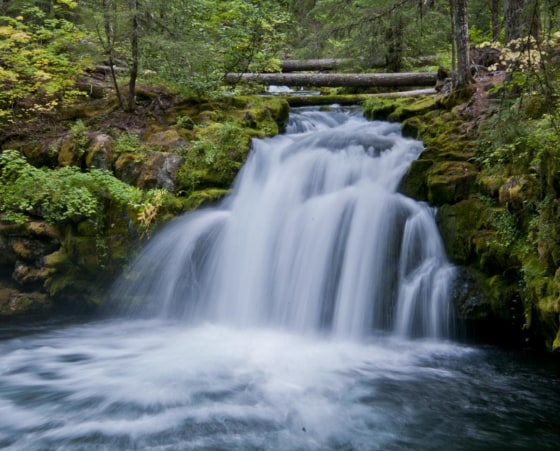 Whitehorse Falls on the North Umpqua River in Oregon.