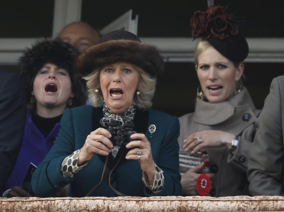 Britain's Camilla (C), Duchess of Cornwall, and Zara Phillips (R) react during The Queen Mother Champion Chase at the Cheltenham Festival horse racing meet in Gloucestershire, western England March 14, 2012. REUTERS/Eddie Keogh (BRITAIN - Tags: ENTERTAINMENT SPORT HORSE RACING ROYALS TPX IMAGES OF THE DAY)