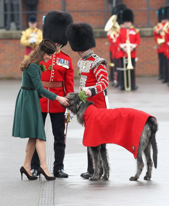 ALDERSHOT, ENGLAND - MARCH 17: Catherine, Duchess of Cambridge presents a 'shamrock' to the Regimental mascot as she takes part in a St Patrick's Day parade as she visits Aldershot Barracks on St Patrick's Day on March 17, 2012 in Aldershot, England. The Duchess presented shamrocks to the Irish Guards at a St Patrick's Day parade during her visit. (Photo by Chris Jackson/Getty Images)