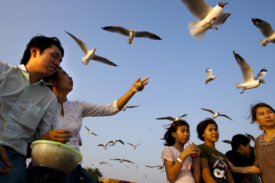 Burmese feed the seagulls at a jetty along the Yangon river ahead of the parliamentary elections on March 29, in Yangon, Myanmar. The upcoming vote is seen as an important vote of confidence for the country as it continues on the road to political and diplomatic reform. Democracy icon Aung San Suu Kyi has fallen ill while campaigning for Myanmar's upcoming by-elections and has currently suspended her tour days ahead of the polls according to medical advice.