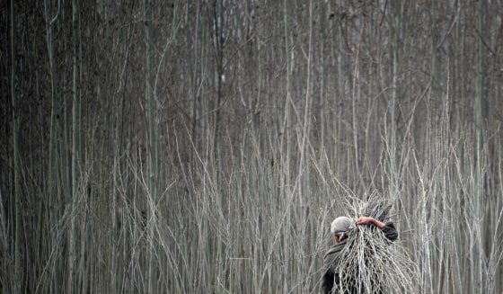 An Afghan carries a bundle of wood in Nahr-i Sufi near the DHQ (Char Dara District Police Headquarter) in the province of Kunduz on March 30. The Afghan economy has always been based on agriculture, despite the fact that only 13 percent of its total land is arable and just eight percent is currently cultivated.