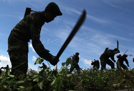 Soldiers participate in an operation to eradicate coca at the Chimore locality, Bolivia, March 30, 2012. Governments from Bolivia, Brazil and United States have implemented a new system to verify eradications of illegal cultivations in the El Chapare region.