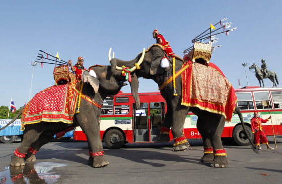 Elephants perform during a demonstration with Thai workers to mark International May Day at Royal Plaza in Bangkok, Thailand, 01 May 2012.