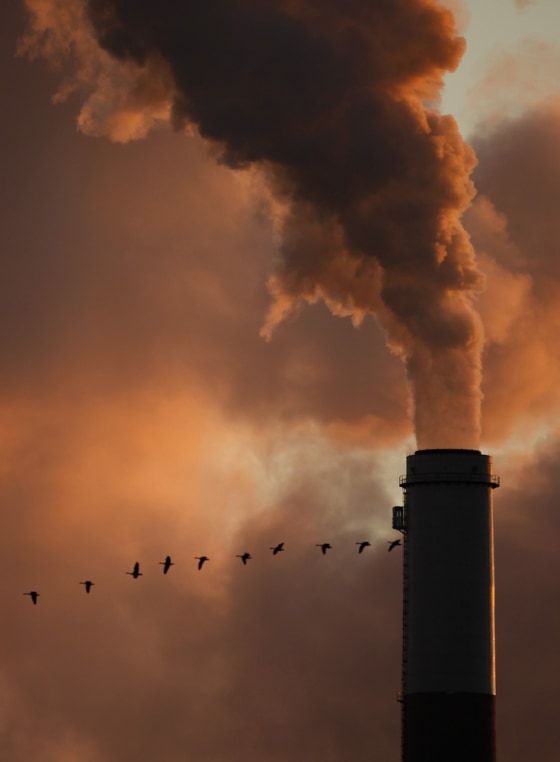 A flock of geese fly past a smokestack at the Jeffery Energy Center coal power plant near Emmitt, Kansas, in this Jan. 10, 2009 photo.
