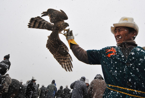 A hunter holds his golden eagle during the