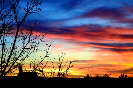 Albuquerque, N.M.