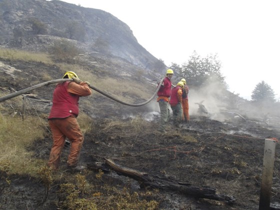 Firefighters from neighboring Argentina help battle Chile's Torres del Paine wildfire on Friday.