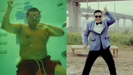 Fourteen staffers of the El Monte Aquatic Center in Southern California were terminated after they used a city pool to make a parody of the Internet sensation video