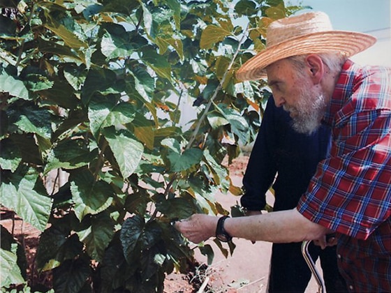 Castro visiting a cultured field at an undisclosed location.