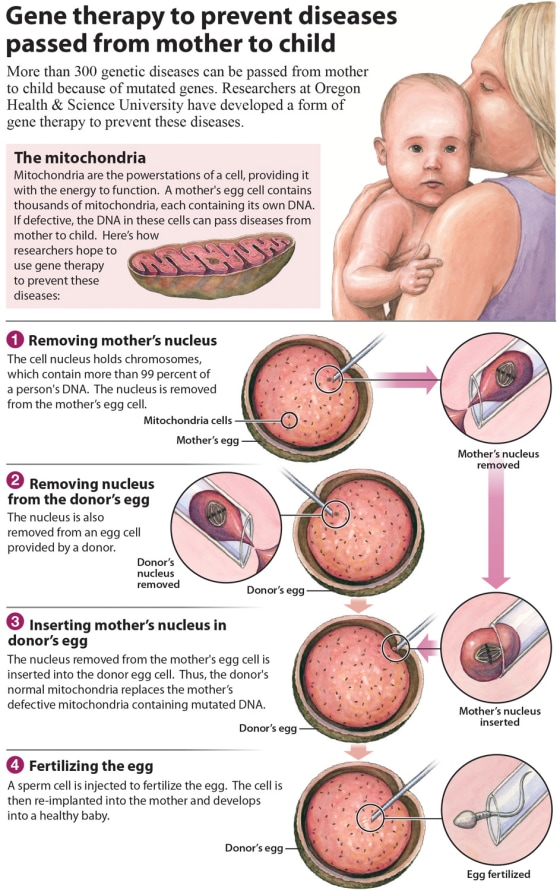Researchers have found a way to removed damaged DNA from a woman's egg cell and replace it with healthy DNA from another woman.