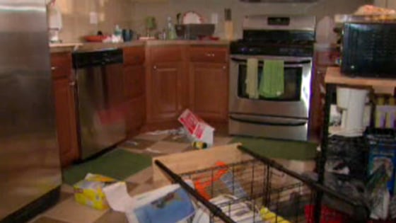 Damage left behind after a 300-pound deer broke into a house in Philadelphia.