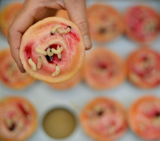 A woman holds a cupcake depicting maggot therapy at the 'Eat Your Heart Out 2012' cake shop in the Pathology Museum in London on Oct. 25.