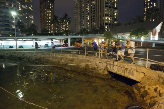 Visitors and Oahu residents watch the water level in the Ala Wai Harbor in Hawaii for the arrival of a tsunami on Saturday.