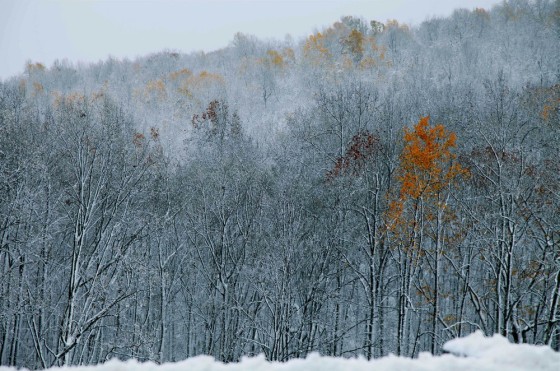 Fall color is muted by snow on Interstate 68 on Oct. 30, in Preston County, W. Va.
