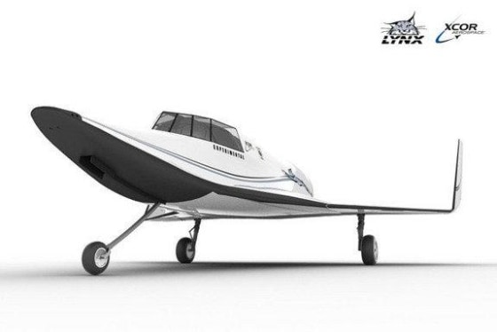 If Coco Brown passes her training, she'll fly on this type of space plane. This Lynx concept art shows the spacecraft from a low angle.