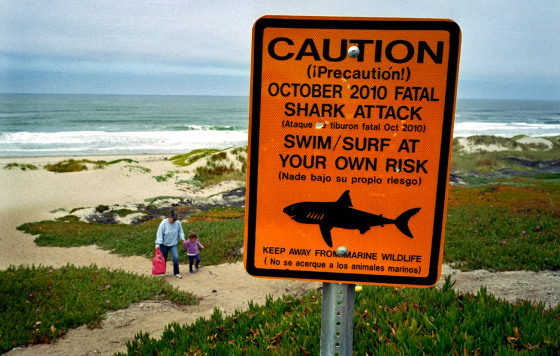 This July 11, 2011 photo shows a shark warning sign along the Surf Beach near Lompoc, Calif. in Santa Barbara County. A shark attack at the Vandenberg Air Force base beach has claimed the life of an experienced 39-year-old surfer, following months of frequent shark sightings along the central California coast.