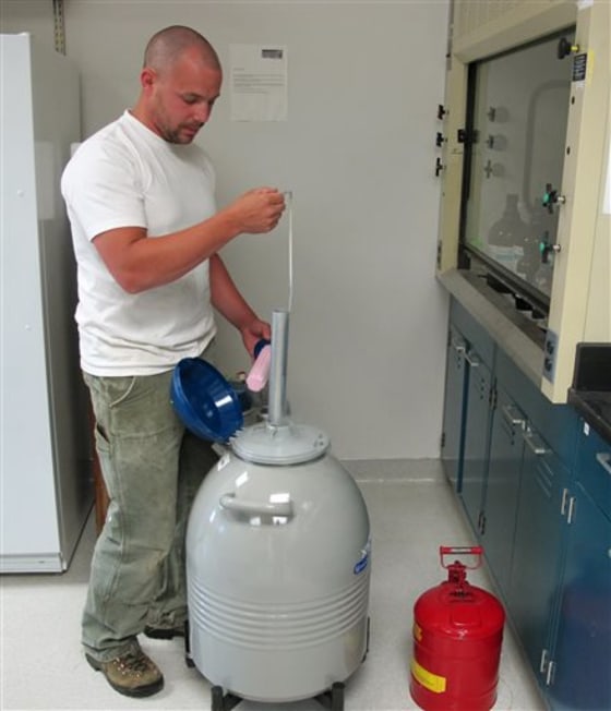 Entomologist Steve Sheppard and his crew are using liquid nitrogen to preserve semen extracted from honey bee drones to preserve and improve the stock of honey bees, and to prevent the subspecies extinction.